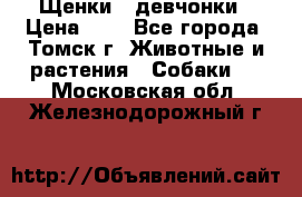 Щенки - девчонки › Цена ­ 2 - Все города, Томск г. Животные и растения » Собаки   . Московская обл.,Железнодорожный г.